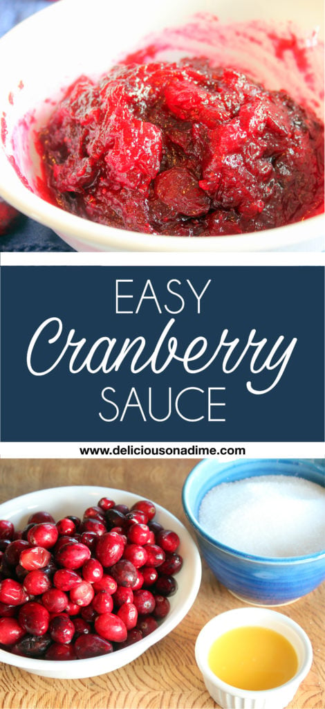 This Easy Cranberry Sauce was so simple to make - but so delicious!