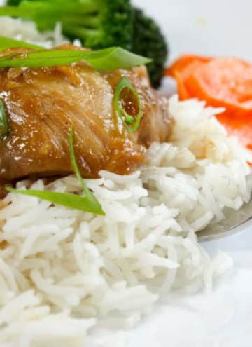 Rice topped with chicken and green onion.
