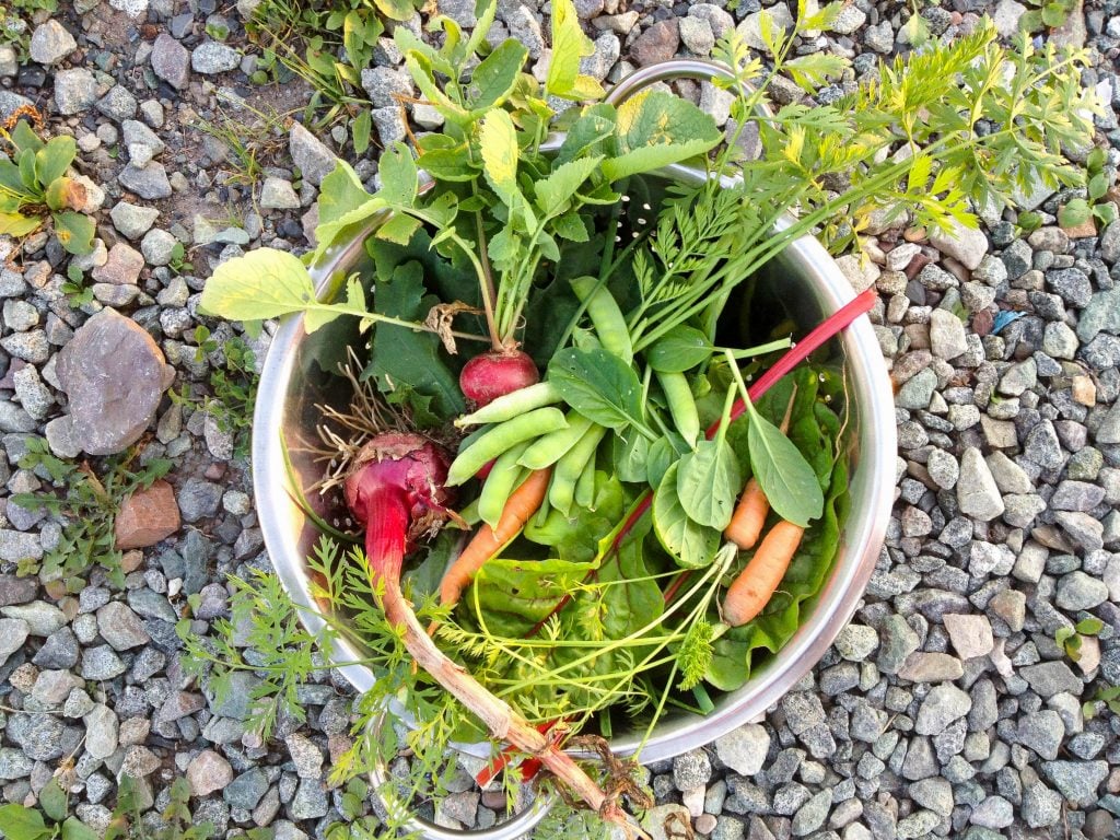 Mix of vegetables in metal bowl on rock background.