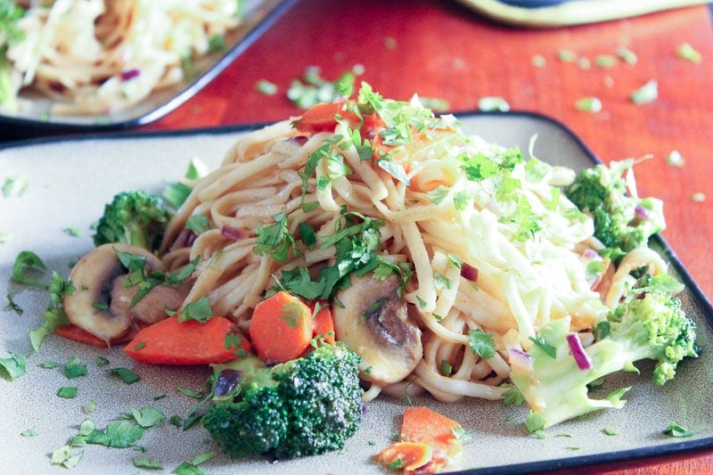 Vegetarian Dan Dan Noodles Topped with Parsley on Gray Plate.