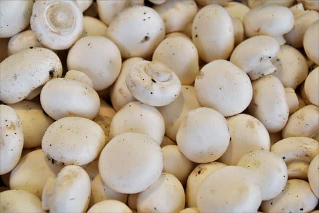 How To Freeze Mushrooms The Super Easy Way Delicious On A Dime,Caffeine Withdrawal Symptoms Fever