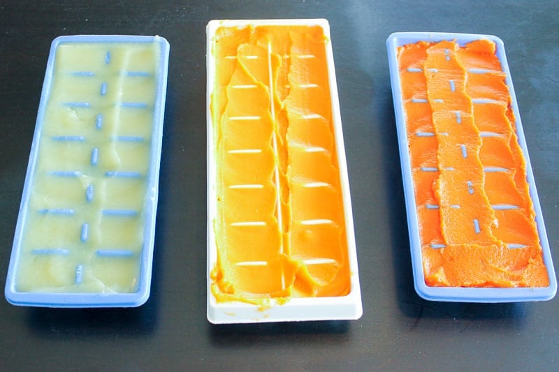 Baby Food Puree in Ice Cube Trays.