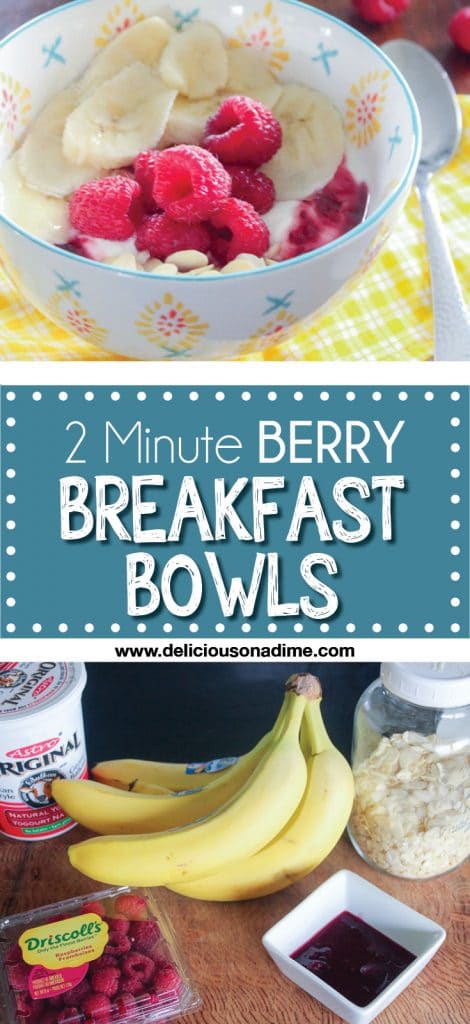 These Two Minute Yogurt and Berry Breakfast Bowls are healthy, fast and a great way to refresh your morning meal!