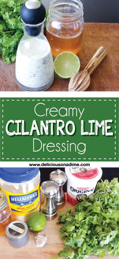 This Creamy Cilantro Lime Dressing takes just 5 minutes (and no special equipment) to make, but the flavour explosion packed into each bite is out of this world. Use it as a salad dressing, marinade or sauce for chicken or fish. It's fantastic!
