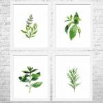 Green Plant Watercolour Paintings.