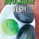 For all the avocado lovers out there who have ever pondered "I wonder if you can freeze avocado..." the answer is yes!!! Learn how to freeze avocado, so it's easy to add this healthy food to your dinners, breakfasts, snacks and smoothies anytime!