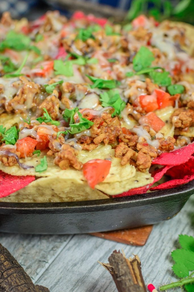 Nacho Chips topped with Ground Meat, Tomatoes and Cilantro.