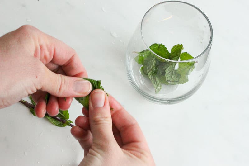 Mint Leaves in Glass on White Marble Board.