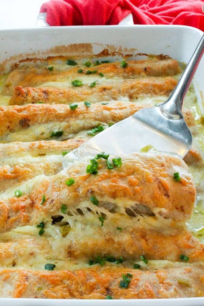 Chicken Enchiladas topped with Cheese and Parsley in White Baking dish.