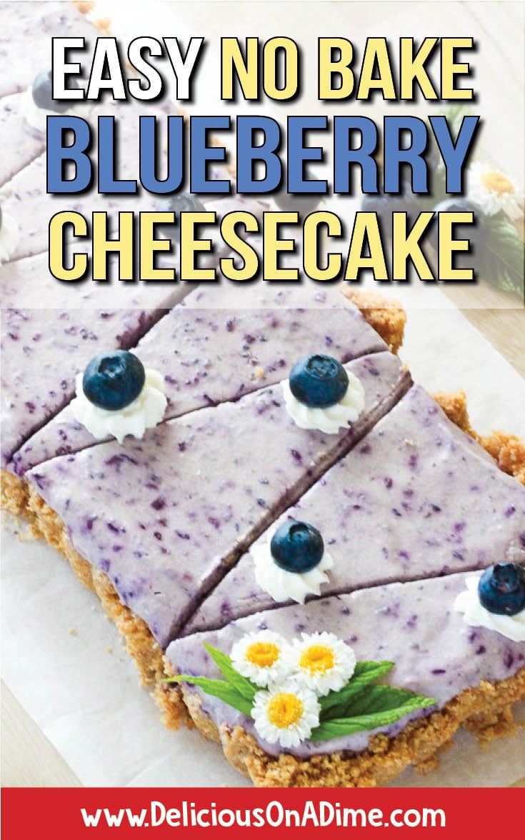 easy-no-bake-blueberry-cheesecake-delicious-on-a-dime