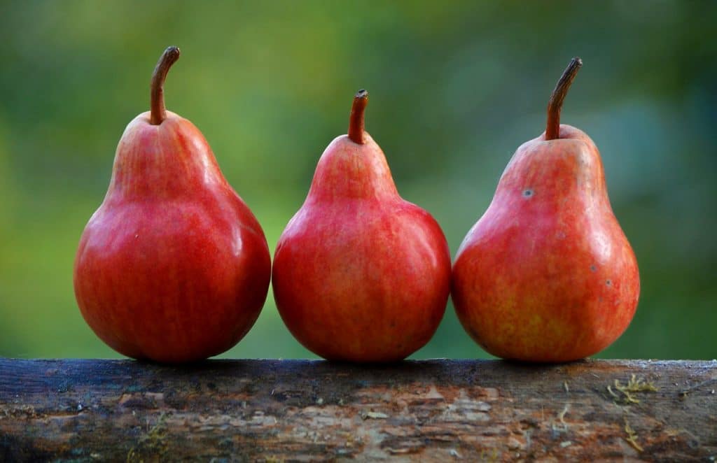 Three red Pears on piece of wood.