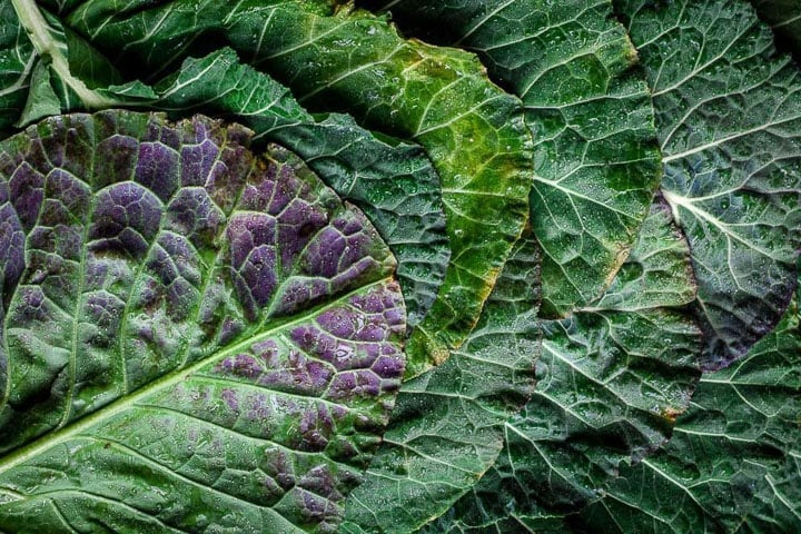 Large leafy greens