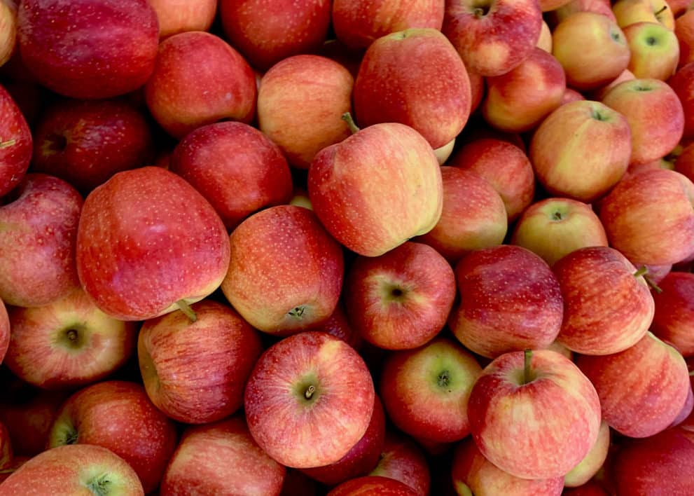 Pile of read and yellow apples