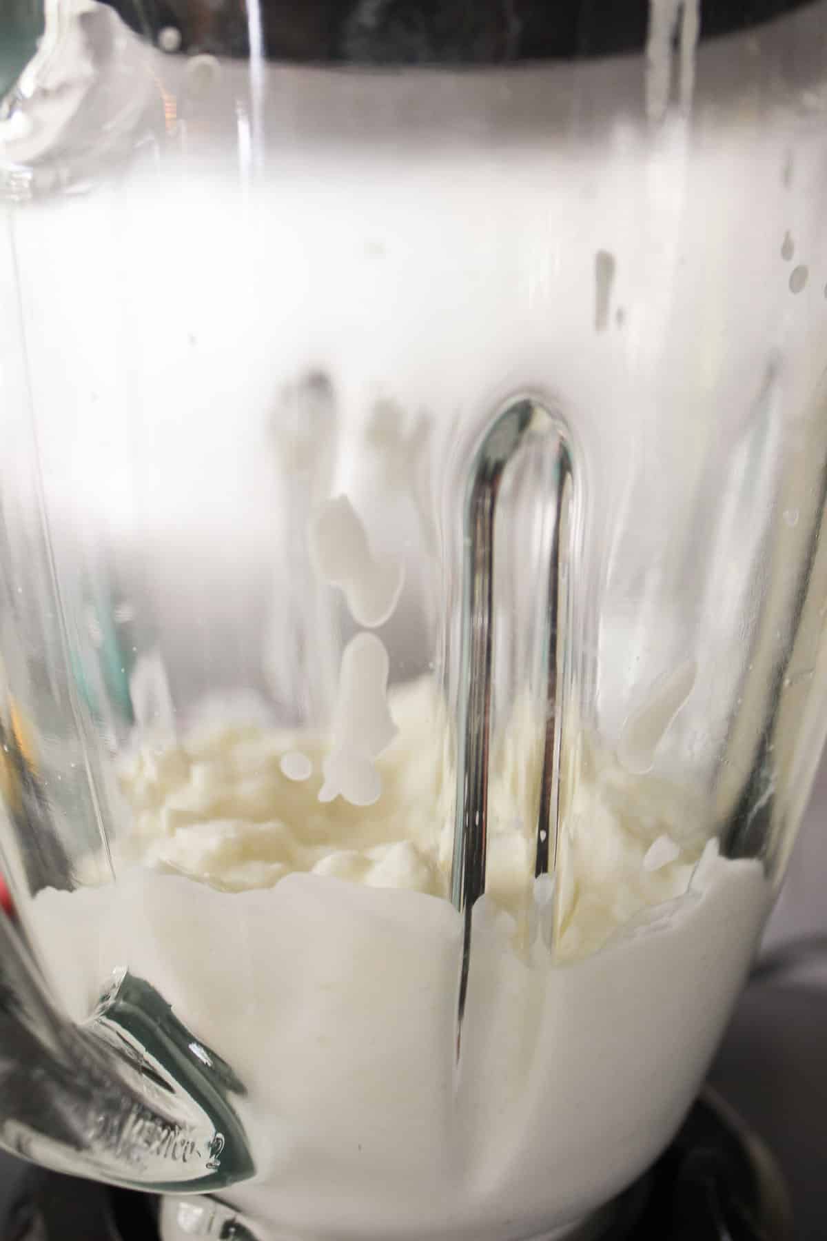 Blender with cottage cheese in it